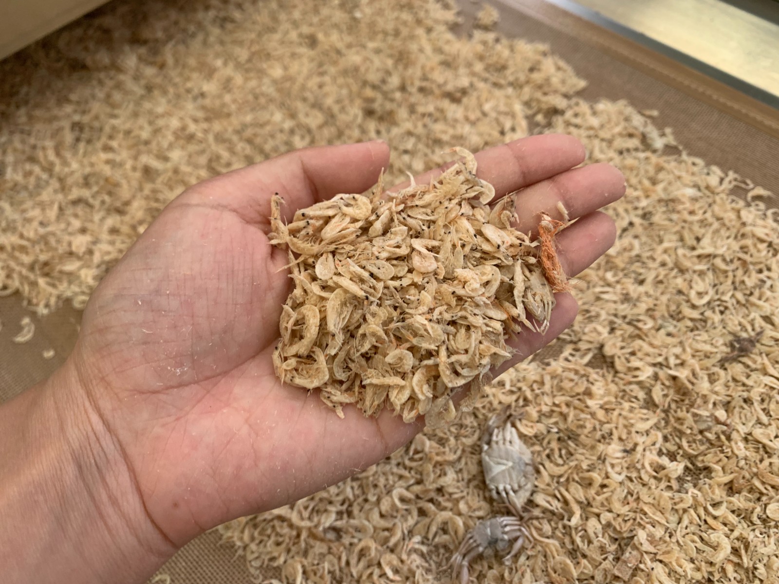微波烘干設備使蝦皮烘干均勻并保留其營養(yǎng)成分