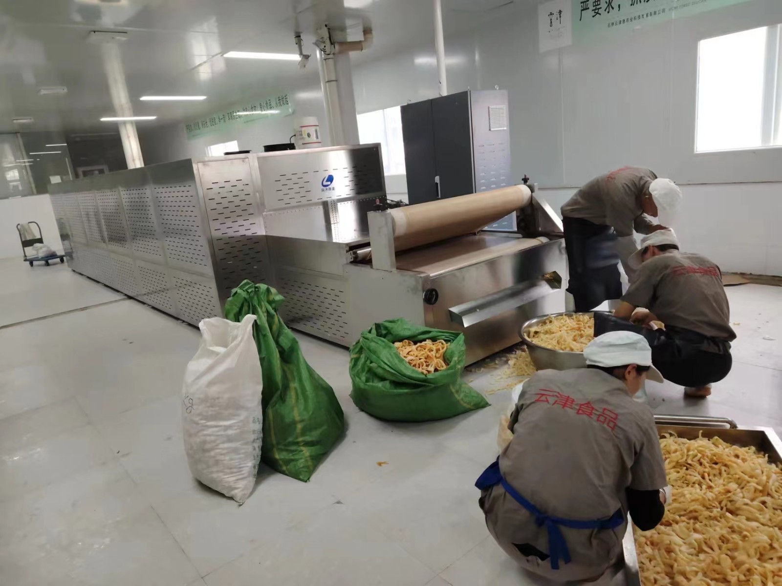 我公司生產的非油炸豬皮膨化機克服了油炸方式含油問題