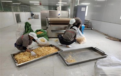豬皮微波膨化設(shè)備 豬蹄脫脂機