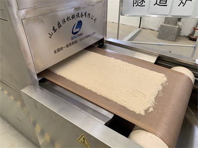 微波設(shè)備烘干白芝麻香味濃郁、用途廣泛 