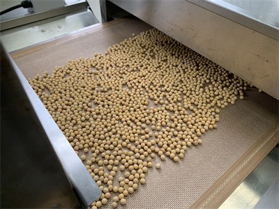 你知道利用微波對黃豆進(jìn)行干燥殺蟲卵的原理嗎