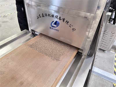 孜然微波烘干設備加工調(diào)味料效果到底如何呢