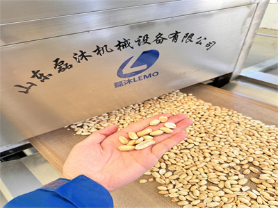 微波烘烤隧道爐實(shí)現(xiàn)了無油健康烘烤方式和香脆口感