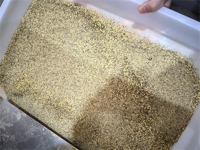 雜糧粉、代餐粉利用微波設(shè)備進行干燥殺菌過程