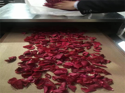 微波烘干設(shè)備，讓鮮花的美麗不褪色不凋零