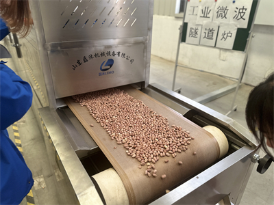 由微波烘烤設(shè)備引發(fā)的產(chǎn)業(yè)變革，改變了花生米的加工方式