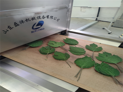 微波烘干隧道爐為構(gòu)樹葉的廣泛應(yīng)用開辟了新途徑