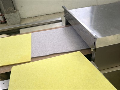 Microwave equipment promotes continuous production of water-based coatings？